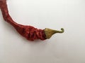 Long curved red hot pepper lying on a white background.