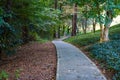 A long curving sidewalk covered with fallen autumn leaves surrounded by green grass and lush green trees