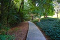 A long curving sidewalk covered with fallen autumn leaves surrounded by green grass and lush green trees