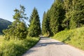 Long Curvy Forest Road In Tara Mountains, Serbia Royalty Free Stock Photo