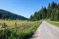 Long Curvy Forest Road In Tara Mountains, Serbia Royalty Free Stock Photo