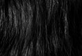 Long damaged hair Royalty Free Stock Photo
