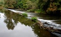 Long dangerous weir on the river after the flood. barrage barred driftwood trees trunks, logs stuck clogging the flow through the Royalty Free Stock Photo