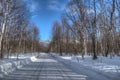 Long deep snowy forest road in spring sunshine