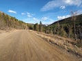 A long dirt road in the Colorado Mountains.