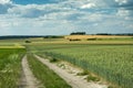 Long road through fields, copses in the hills and a cloudy sky Royalty Free Stock Photo