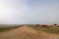 Long dirt road