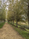 Long dirt road path