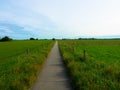 Long distance bicycle road through dutch landscape, Narrow asphalt road between meadows. Provinz Gelderland, Netherlands