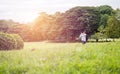 Long distance shots, Golfer swing on the fairway, Golf course Royalty Free Stock Photo