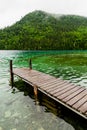 Long Dock and Amazing View of a Lake Royalty Free Stock Photo