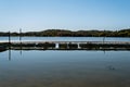 Long Dock Floating on a Lake