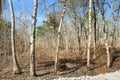 Long droughts cause fields to experience drought, some plants die and crop failures due to climate change Royalty Free Stock Photo