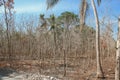 Long droughts cause fields to experience drought, some plants die and crop failures due to climate change Royalty Free Stock Photo