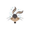 Long Eared Funny Bunny Rabbit Head Showing Scared Facial Expression Vector Illustration