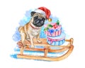 Pug dog on sleigh in Santa\'s hat. Gifts with bows. Illustration. Watercolor Royalty Free Stock Photo