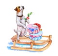 Puppy Jack rassele on a sleigh in Santa\'s hat. Gifts with bows. Illustration Royalty Free Stock Photo