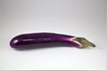 A long eggplant on white background