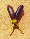 Long black eggplants aubergine eggplant brinjal vegetable food berinjela berenjena baingan solanum melongena photo