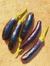 Black eggplants long aubergine eggplant brinjal vegetable food berinjela berenjena baingan solanum melongena photo