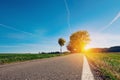 Long empty asphalt country road with white side line and green grass stretching off to a lone tree and setting off horizon sun. Royalty Free Stock Photo