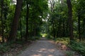 Long Empty Hiking Trail with Green Trees at Hudson Highlands State Park in Cold Spring New York Royalty Free Stock Photo