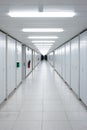 Long empty illuminated interior hallway. Vanishing perspective, bright neon lights, vertical cabinets lined side wall. Underground