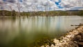 Dead Trees in a Lake Royalty Free Stock Photo