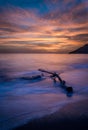 Long exposure of driftwood amazing sunset colors. Royalty Free Stock Photo