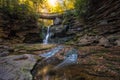 Autumn colors at Elakala Falls in West Virginia Royalty Free Stock Photo