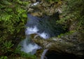 Long exposure of the iconic Twin Falls at Lynn Canyon Park in North Vancouver, British Columbia Royalty Free Stock Photo