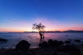 Long exposure image of dramatic sunset or sunrise,sky clouds over mountain with alone tree in tropical sea. Royalty Free Stock Photo