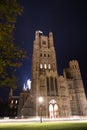 Long exposure Image of illuminated Ely cathedral at night Royalty Free Stock Photo