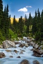 Long exposure image of mountain river falling and flowing trough Royalty Free Stock Photo