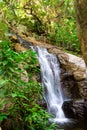 Waterfall in the Pretoria Botanical Garden. Royalty Free Stock Photo