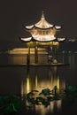 Long exposure image of Xihu Lake at night