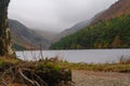 Long exposure isolated view, silky water during autumn in the Wicklow Mountains. bough on front, Glendalough Upper lake covered wi