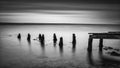 Long exposure landscape of old derelict jetty extending into lake black and white