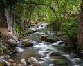 Long exposure of Lithia Creek with trees hanging low over the water in Ashland Oregon Royalty Free Stock Photo