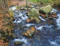 Long exposure magic forest stream creek in autumn with stones mo