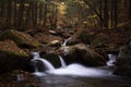 Long Exposure Mountain Stream in an Old Growth Forest During Autumn Royalty Free Stock Photo