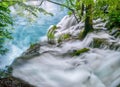 Showing the force of water rushing over the top of a waterfall and the trees and plants that survive in the water and current. Royalty Free Stock Photo