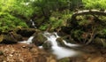 Long exposure panorama of the rainforest with cascades and waterfalls