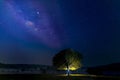 Long exposure photograph with grain. Star and Milky Way Astronomy at Thung kamang nature park. Phu Khiao - Wildlife Sanctuary,