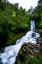 Long Exposure photography. Beautiful waterfall in the rainforest with green nature. Purakaunui Falls, The Catlins, New Zealand. Royalty Free Stock Photo