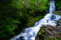 Long Exposure photography. Beautiful waterfall in the rainforest with green nature. Purakaunui Falls, The Catlins, New Zealand. Royalty Free Stock Photo