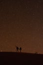 Long exposure photography of couple dancing under the stars at night on a sand dune in the Sahara Desert, near Ouarzazate, Merzoug Royalty Free Stock Photo