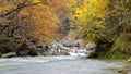 Long exposure photography of running stream through Yellow autumn trees in Ordesa Valley Royalty Free Stock Photo