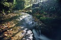 Long exposure of a river creek with a small waterfall. Sunset and strong detail bokeh view. blue calm warm water Royalty Free Stock Photo