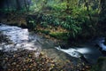 Long exposure of a river creek with a small waterfall. Sunset and strong detail bokeh view. blue calm warm water Royalty Free Stock Photo